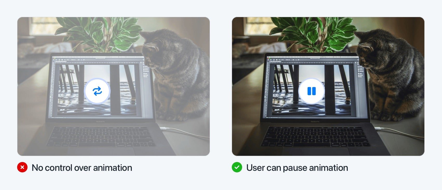 Auto-loop and pause buttons on video