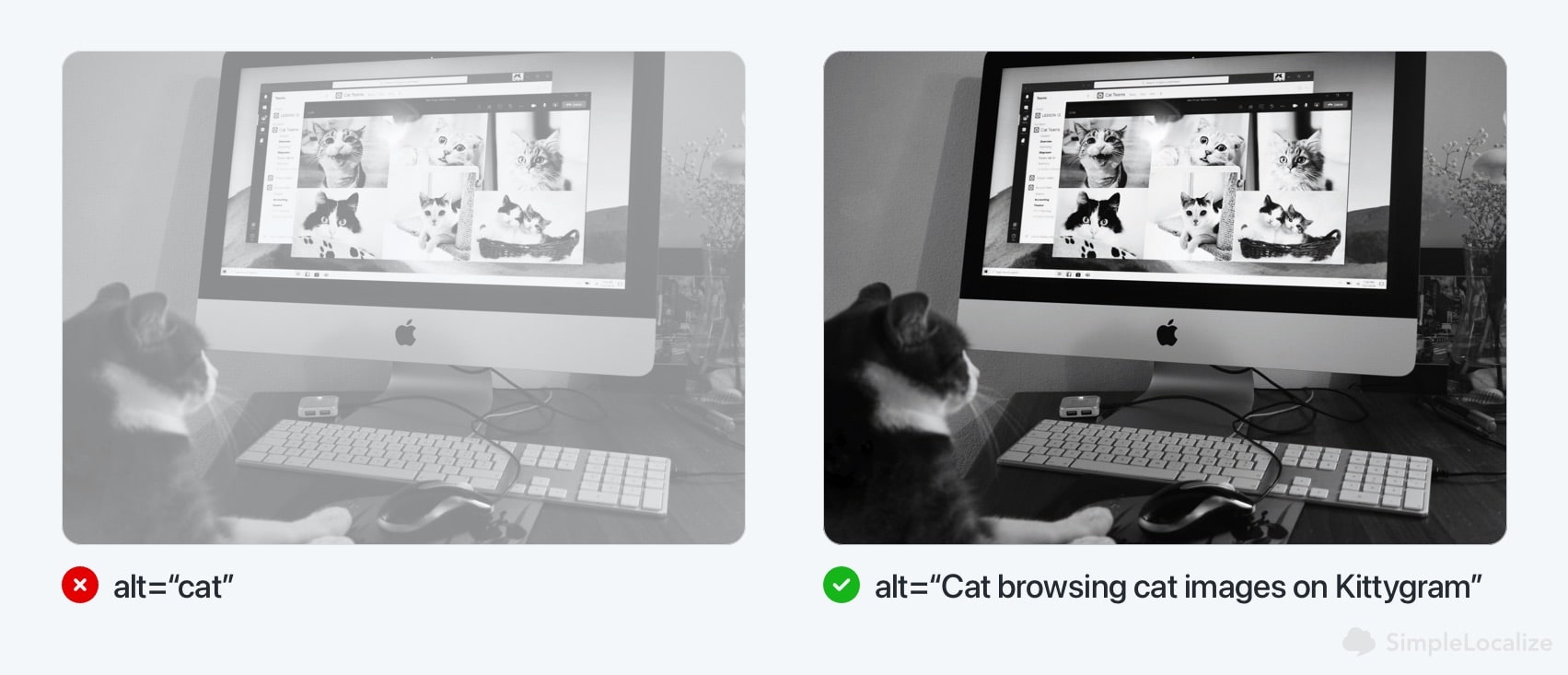 Image accessibility with alt-text usage