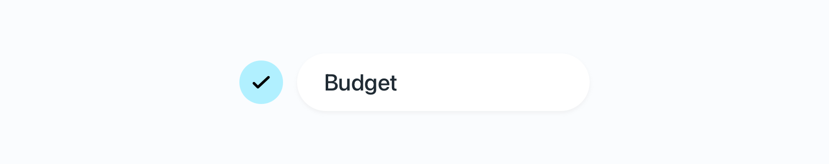 Budget & resource check